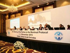 During the meeting