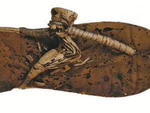 King Tut Shoes