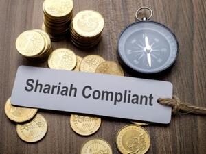 Saudi Arabia raised $50 billion through international conventional and Islamic bonds. (Shutterstock)