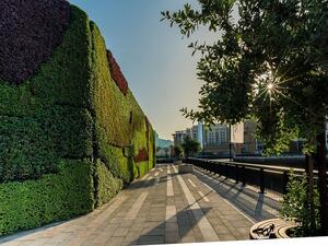 Middle East’s largest living green wall at Dubai Wharf.
