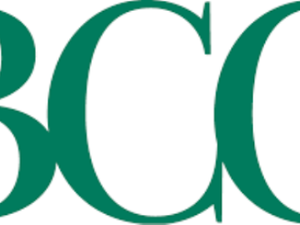 The Boston Consulting 