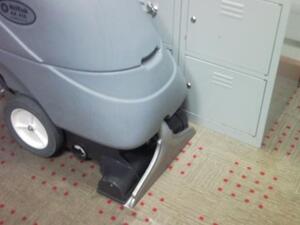 Carpet cleaning with Enzymes