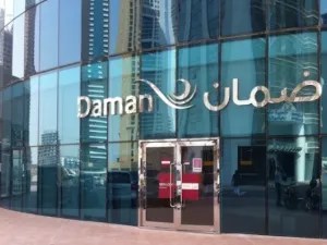 Daman Investments