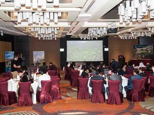 During the event