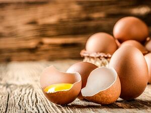 Samples of food products are transferred to labs to ensure they are safe. (Shutterstock)