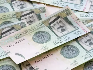 سجلت تمويلات المصارف السعودية لصادرات القطاع الخاص ارتفاعا بنهاية العام الماضي 2017.