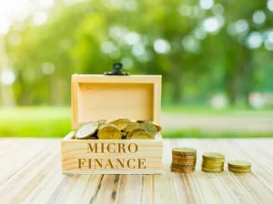 “Tamweely” for microfinance started their operations in the Egyptian market with a capital of 50 million EGP. (Shutterstock)