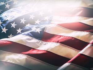 Through the decade, the Saudi government has funneled $354 million into 37 different schools across the U.S. (Shutterstock)