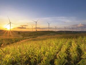 The installed wind power capacity in the country currently stands at over 7,000 megawatts. (Shutterstock)
