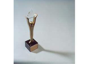 جائزة ستيفي برونزية Bronze Stevies