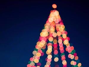 Be surrounded by family and friends and let the cool breeze of the season embrace you while indulging in hot chocolate, mince pies and Christmas cookies.