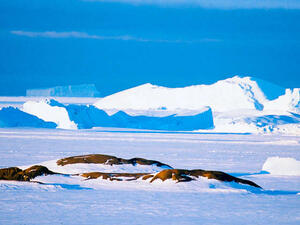 المنطقة القطبية الجنوبية - أرشيف
