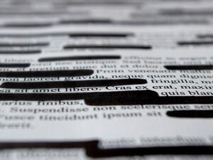 The group says Naji's jailing violates Egypt's constitutional articles on freedom of thought, creativity and journalism which prohibits prison sentences over publishing issues. (Shutterstock)