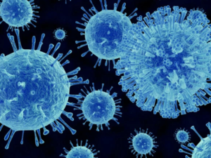 A scientific drawing of the norovirus at a microscopic level. (Shutterstock)