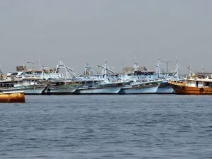 بتكلفة 24 مليون جنيه تمليك 12 سفينة لصغار الصيادين بالسويس