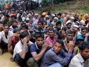 مؤتمر دولي حول الروهنغيا بنيويورك يدعو لمقاطعة ميانمار