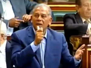 “We all have the right to vie in election as long as we fit the conditions,” Mohamed Anwar Sadat said in an interview (Youtube Screenshot)