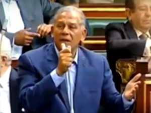 “We all have the right to vie in election as long as we fit the conditions,” Mohamed Anwar Sadat said in an interview (Youtube Screenshot)