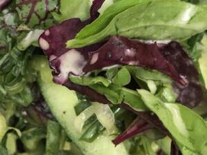 سلطة المزرعة

