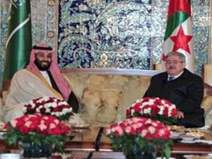 استثناء ولي العهد السعودي للمغرب من جولته المغاربية يثير جدلا
