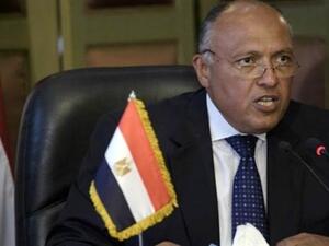 وزير الخارجية المصري سامح شكري