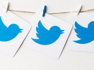 Logo of the well-known social network Twitter (Shutterstock)