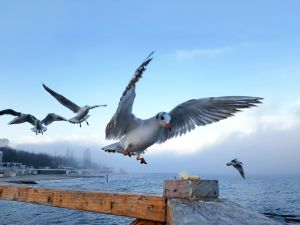 (Shutterstock/File Photo)