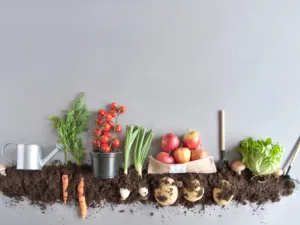 يمكن القول إن الأغذية العضوية أفضل للصحة من الأغذية التقليدية (shutterstock.com)

