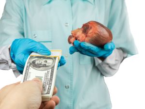 (Shutterstock/ File Photo)