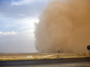 Riyadh parents were not pleased when the Education Director said schools would operate as normal during a sandstorm. (Shutterstock)