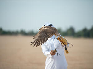 Man carrying a falcon on his hand. (Shutterstock/ File Photo)