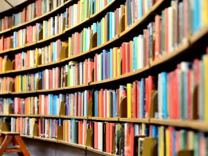 The library-on-a-plane will start to serve in two months (Shutterstock/File)