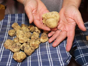 (Shutterstock/ File Photo)