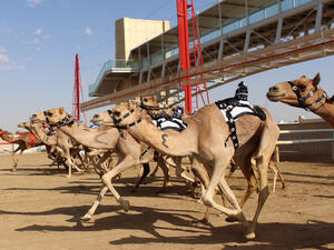 Television, movie and music heroes live in Dubai (Shutterstock)