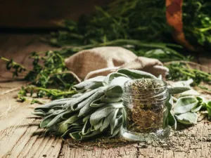 الميرمية هي احدى الأعشاب العطرية المعمرة التي تتمتع بالعديد من الفوائد الصحي (shutterstock.com)
