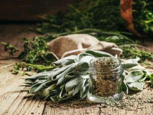 الميرمية هي احدى الأعشاب العطرية المعمرة التي تتمتع بالعديد من الفوائد الصحي (shutterstock.com)
