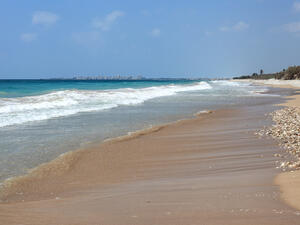 Her body was covered with sand, rocks and rubbish (Shutterstock/File)