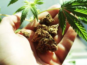 (Shutterstock/ File Photo)