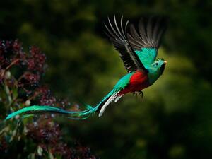 (Shutterstock/ File Photo)