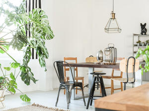 لا تنثري النباتات في جميع أرجاء الغرف (shutterstock.com)
 لا تنثري النباتات في جميع أرجاء الغرف (shutterstock.com)