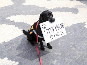 (Shutterstock/ File Photo)