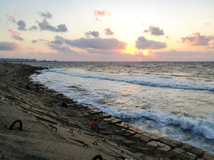 The whale may have committed suicide, a bizarre phenomenon which occurs for unknown reasons among whales (Shutterstock/File)