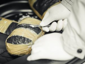 (Shutterstock/ File Photo)