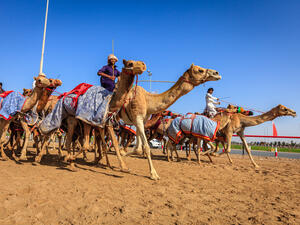 Free-for-all fun in Dubai (Shutterstock)