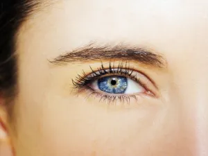 بعض الدراسات أن تناول البيض من الممكن أن يساعد على الحفاظ على صحة العين (shutterstock.com)