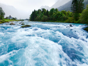 (Shutterstock/File Photo)