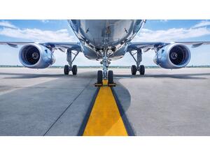 The aviation sector is expected to reach 20 percent over the next few years. (Shutterstock)