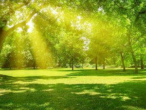 The project aims to create a “human space that will bring back the human life to Riyadh. (Shutterstock)