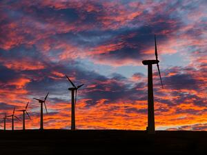 The Egyptian state has many contractual systems to establish projects for energy production from solar energy, including the feed-in tariff, the independent product, and net measurements. (Shutterstock)