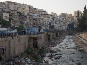 Hard-hitting consultants' report reveals severe deficiencies across public and private sectors. (Shutterstock)